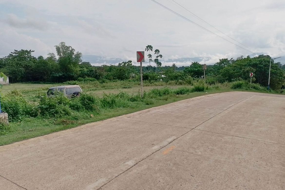 Land for Sale in Himocdongon, Mabinay, Negros Oriental – photo 8