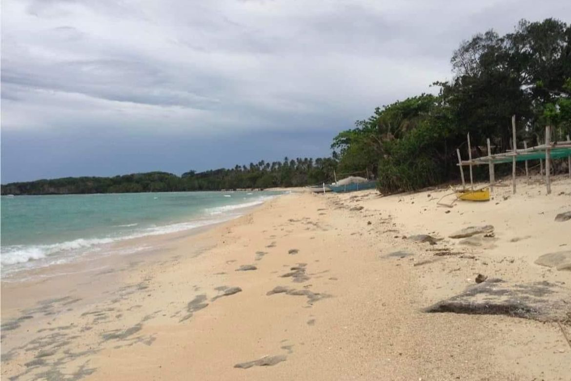 Land for Sale in Hinaguman, Ferrol, Romblon – photo 2
