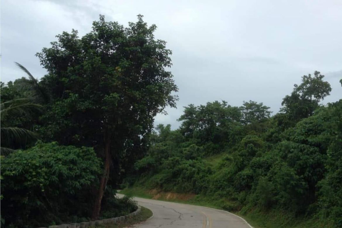 Land for Sale in Hinaguman, Ferrol, Romblon – photo 5