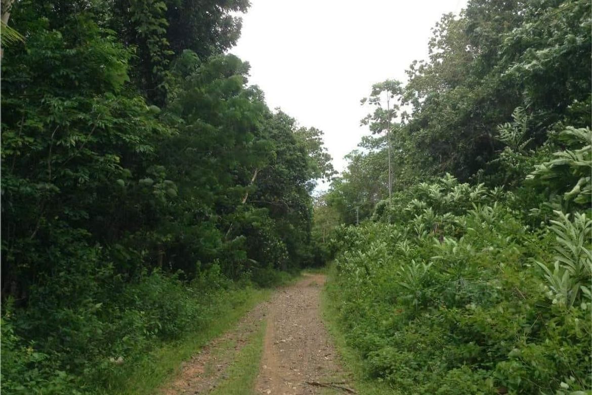 Land for Sale in Hinaguman, Ferrol, Romblon – photo 7