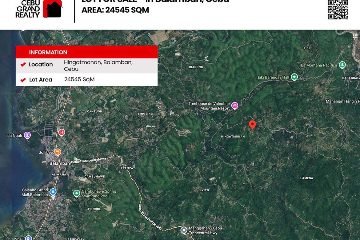 Land for Sale in Hingatmonan, Balamban, Cebu – photo 2