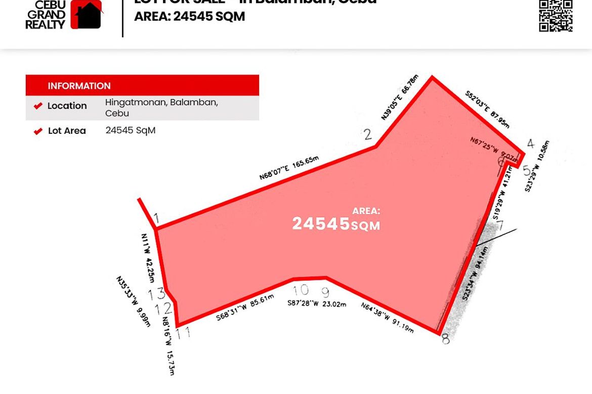 Land for Sale in Hingatmonan, Balamban, Cebu – photo 3