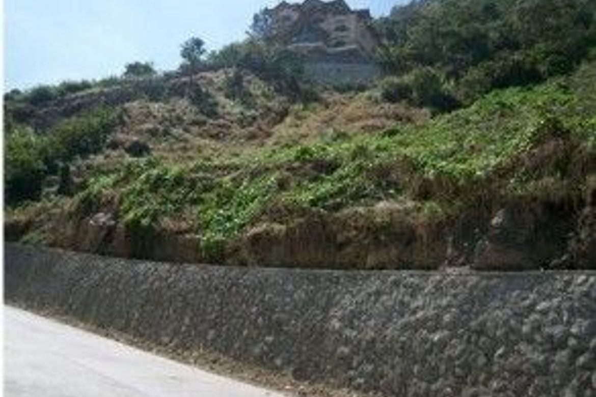 Land for Sale in Holy Ghost Proper, Baguio, Benguet – photo 3