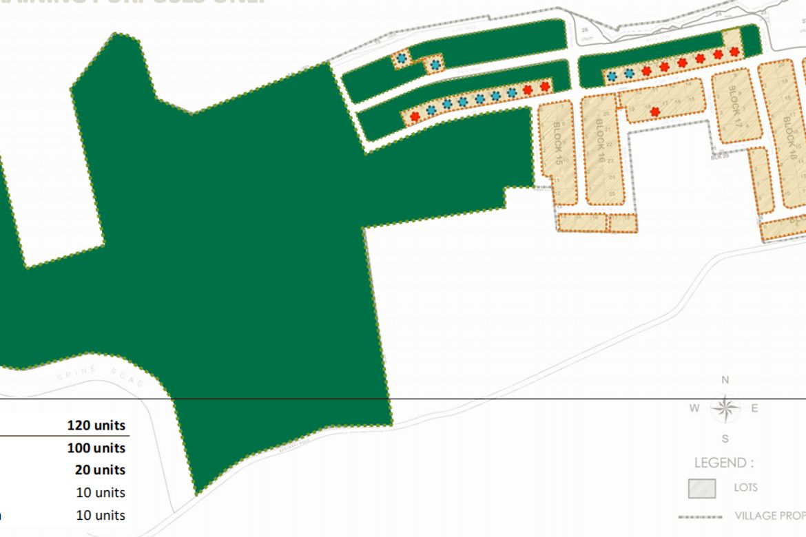 Land for Sale in Hornalan, Calamba, Laguna – photo 6