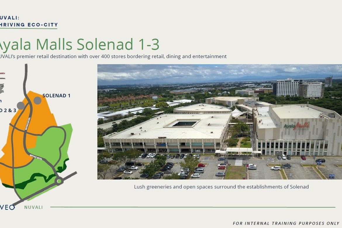 Land for Sale in Hornalan, Calamba, Laguna – photo 2