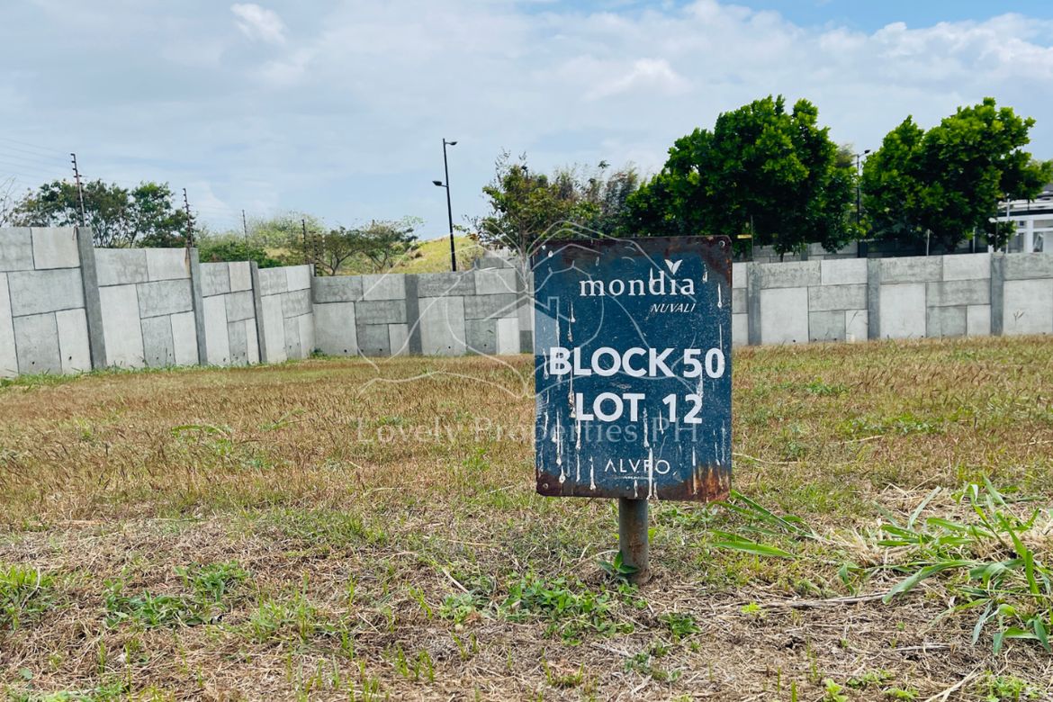 Land for Sale in Hornalan, Calamba, Laguna – photo 2