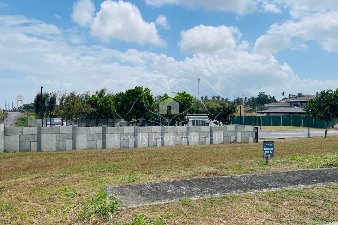 Land for Sale in Hornalan, Calamba, Laguna – photo 3