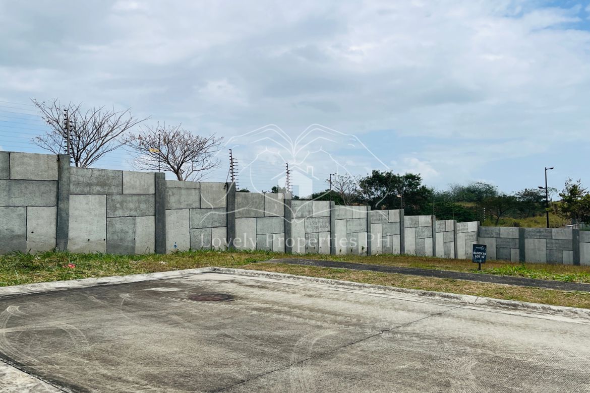 Land for Sale in Hornalan, Calamba, Laguna – photo 4