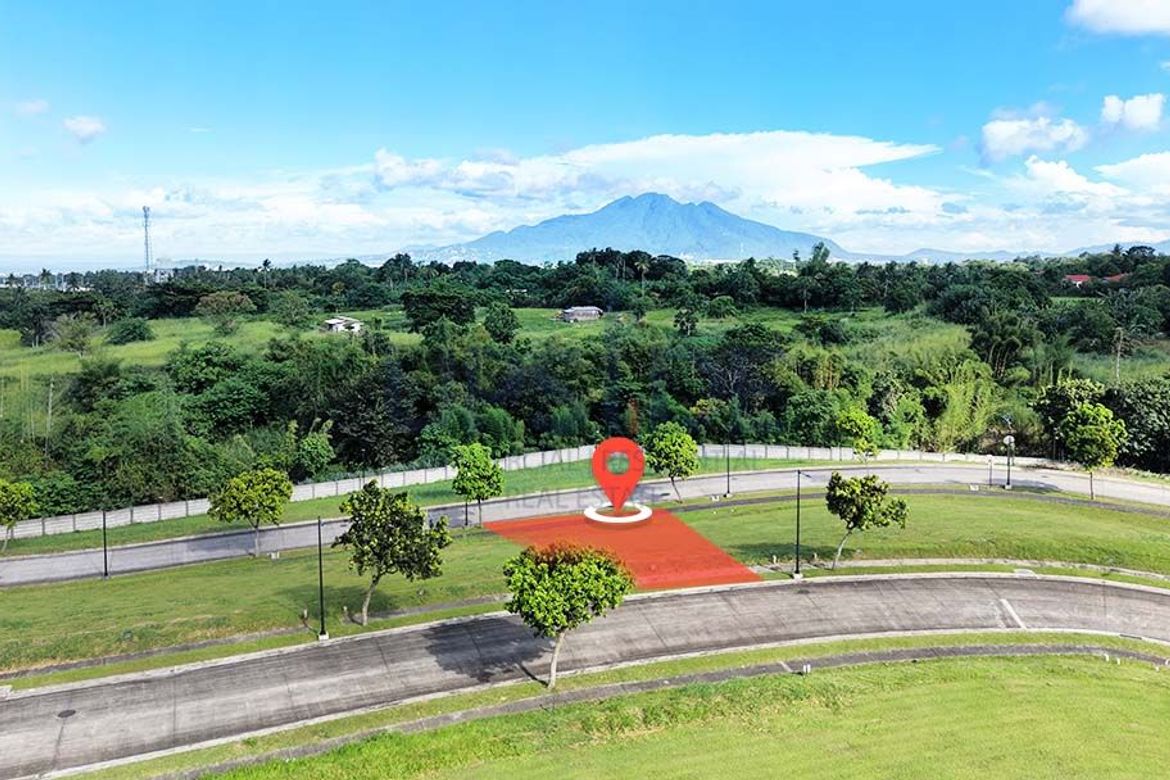 Land for Sale in Hornalan, Calamba, Laguna