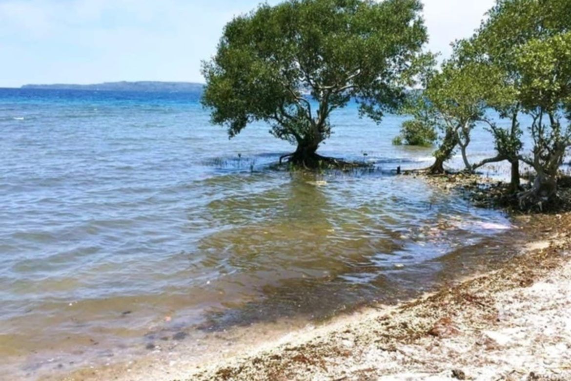 Land for Sale in Hukay, Calatagan, Batangas – photo 8