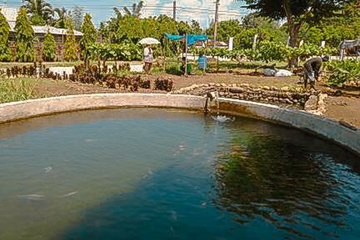 Land for Sale in Ibaba Del Norte, Paete, Laguna – photo 5