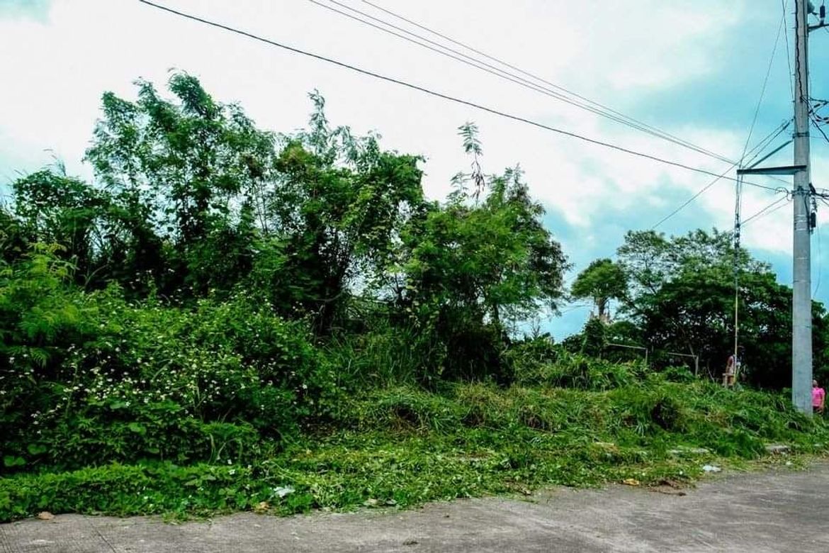Land for Sale in Ibabang Iyam, Lucena, Quezon – photo 4