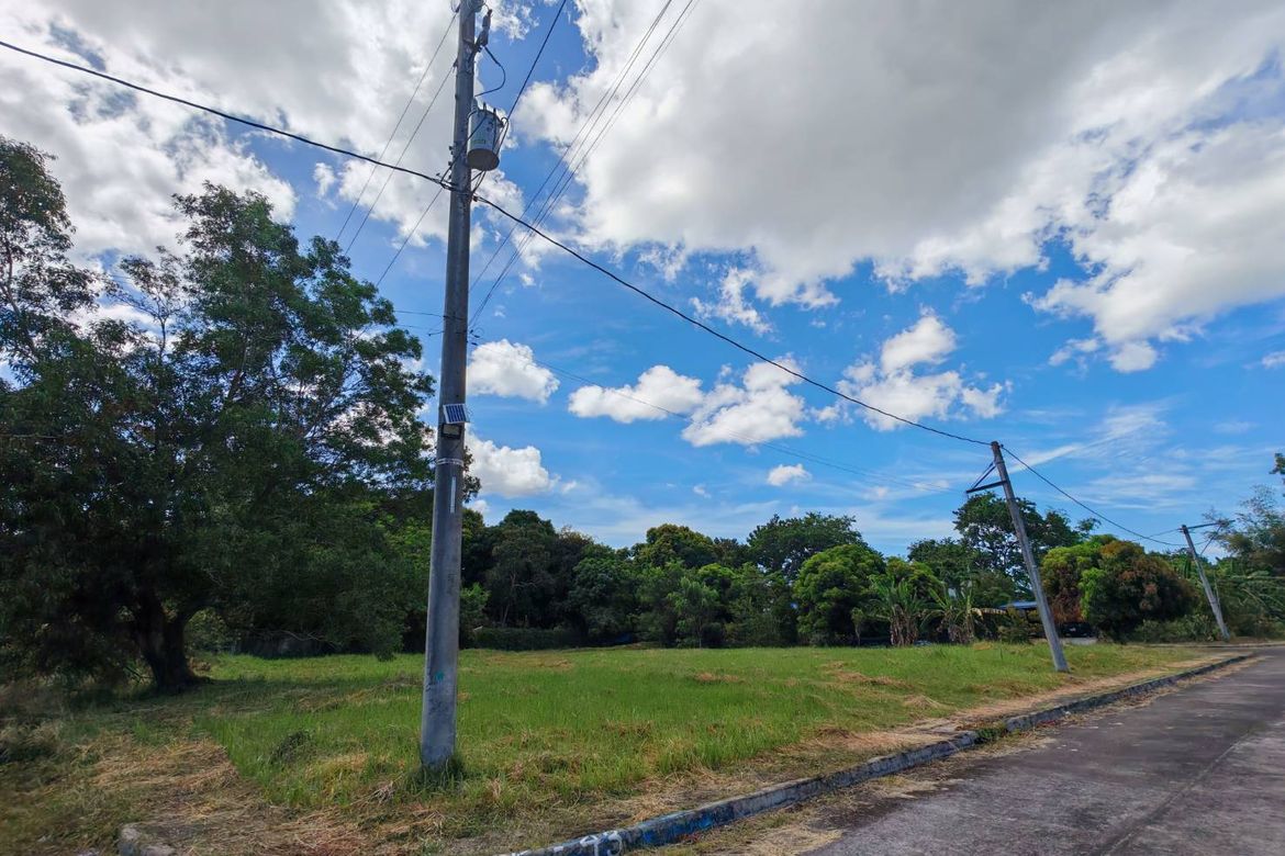 Land for Sale in Ibabang Iyam, Lucena, Quezon – photo 3