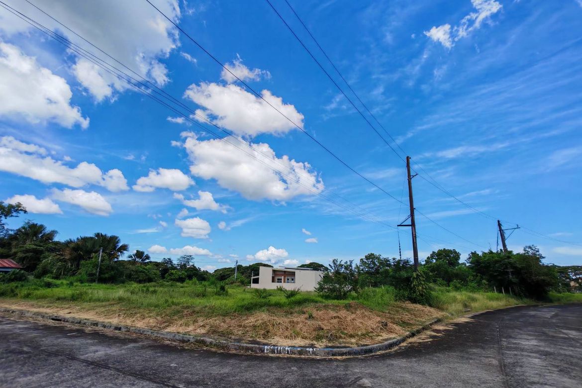 Land for Sale in Ibabang Iyam, Lucena, Quezon – photo 4