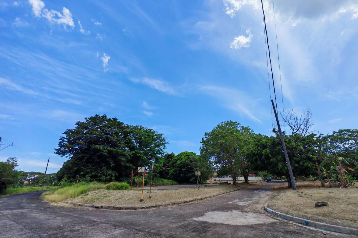 Land for Sale in Ibabang Iyam, Lucena, Quezon – photo 5