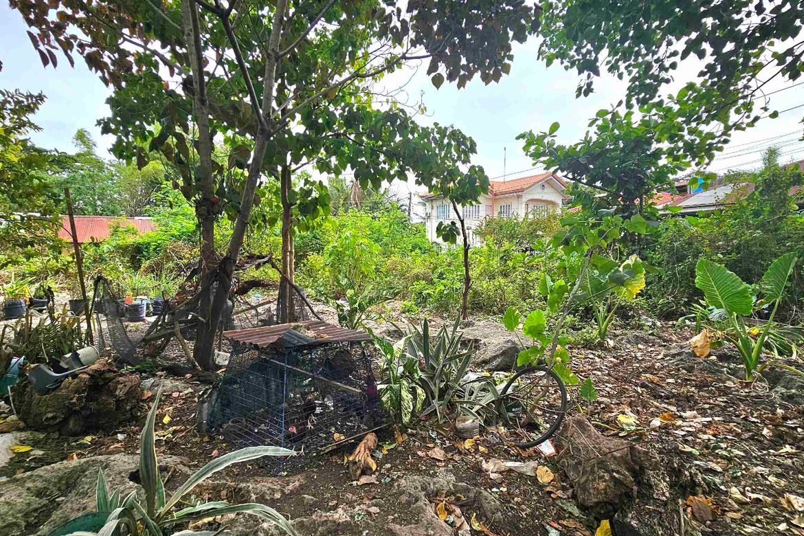 Land for Sale in Ibabao, Cordoba, Cebu – photo 4