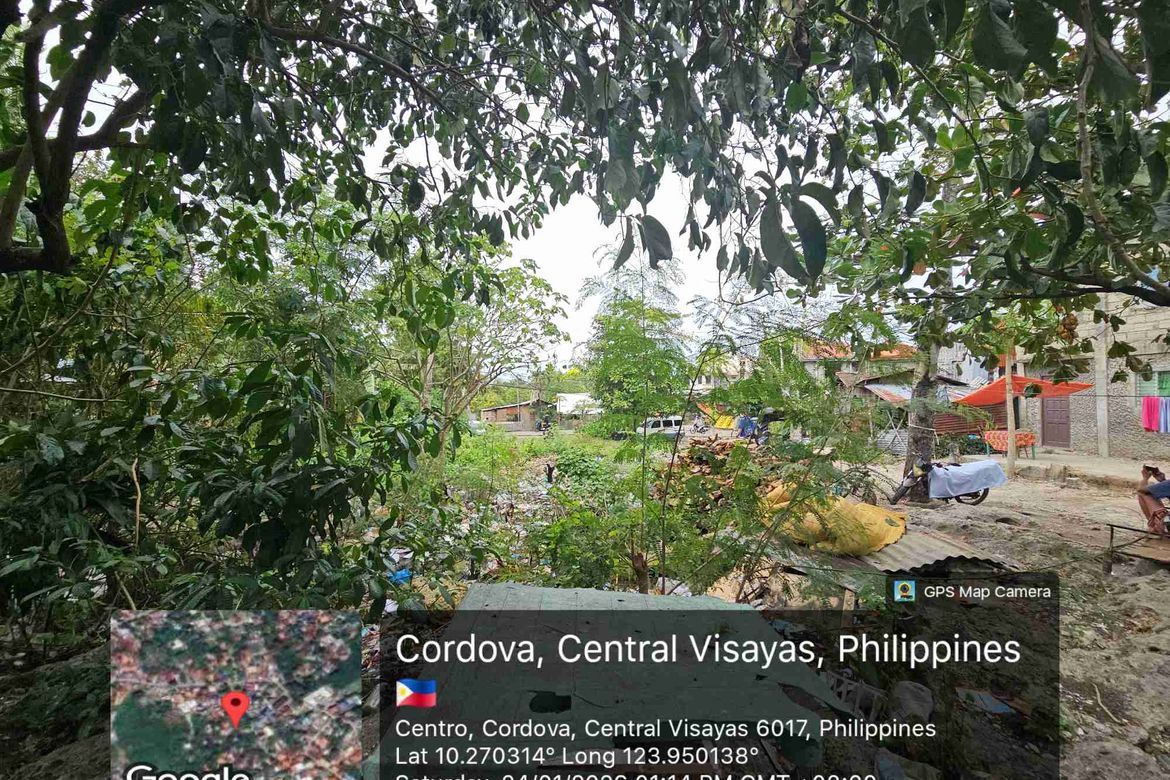 Land for Sale in Ibabao, Cordoba, Cebu – photo 6