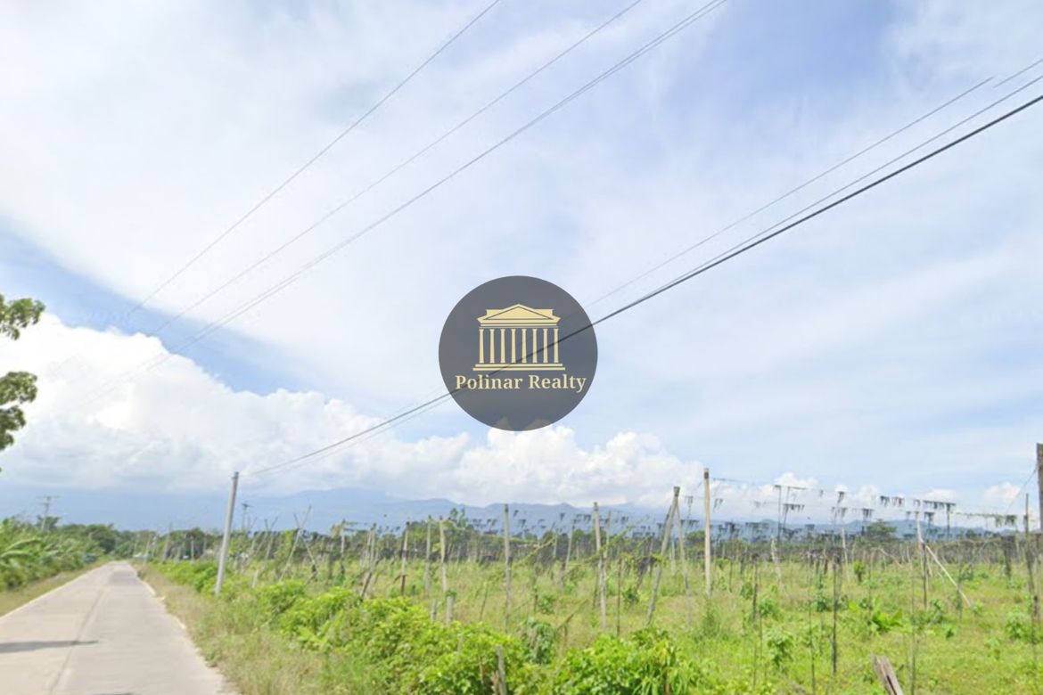 Land for Sale in Igpit, Digos, Davao del Sur – photo 3
