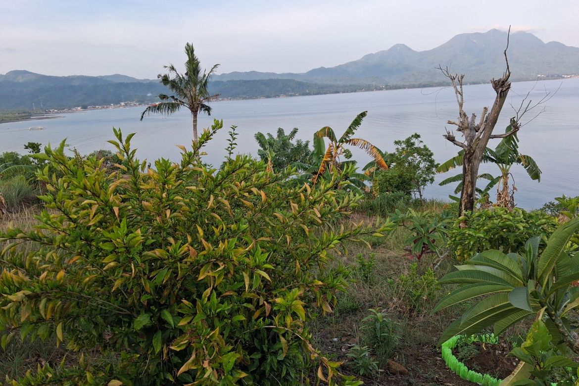 Land for Sale in Ilaya, Hinunangan, Southern Leyte – photo 3