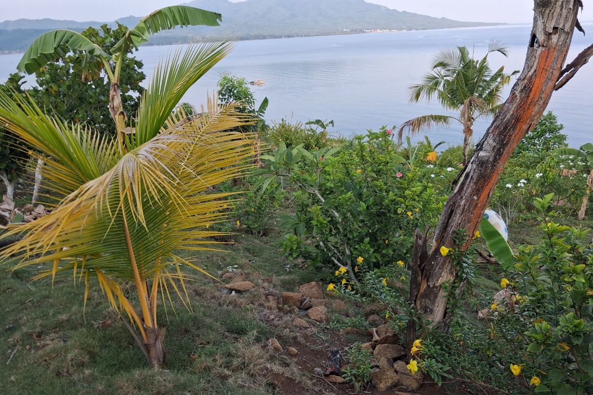 Land for Sale in Ilaya, Hinunangan, Southern Leyte – photo 5