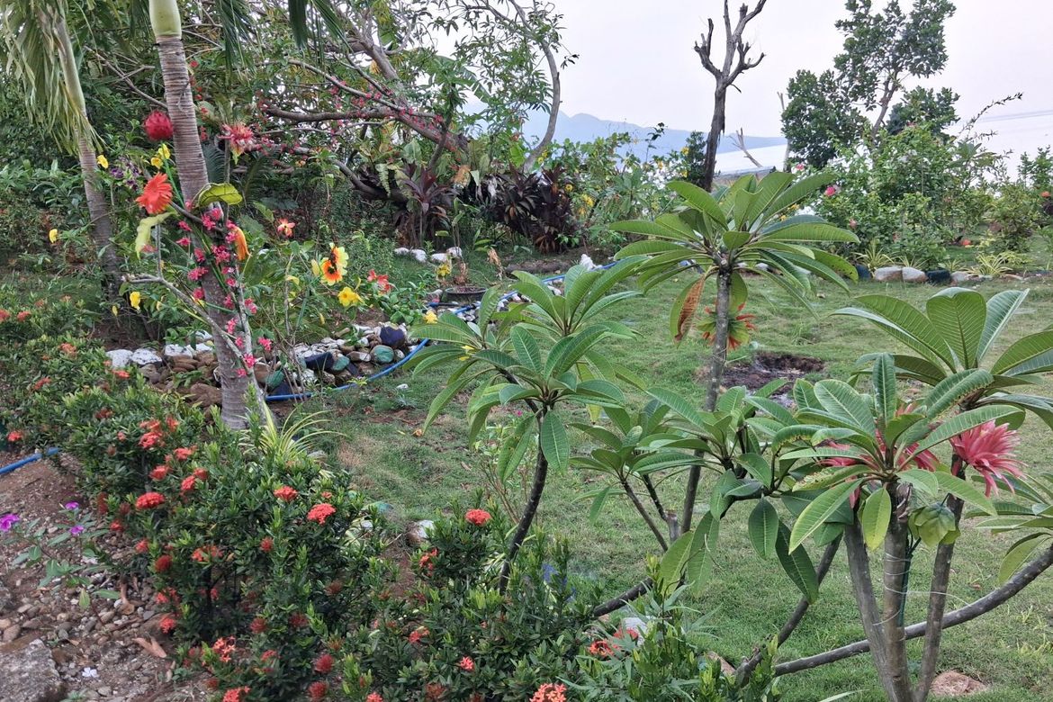 Land for Sale in Ilaya, Hinunangan, Southern Leyte – photo 6