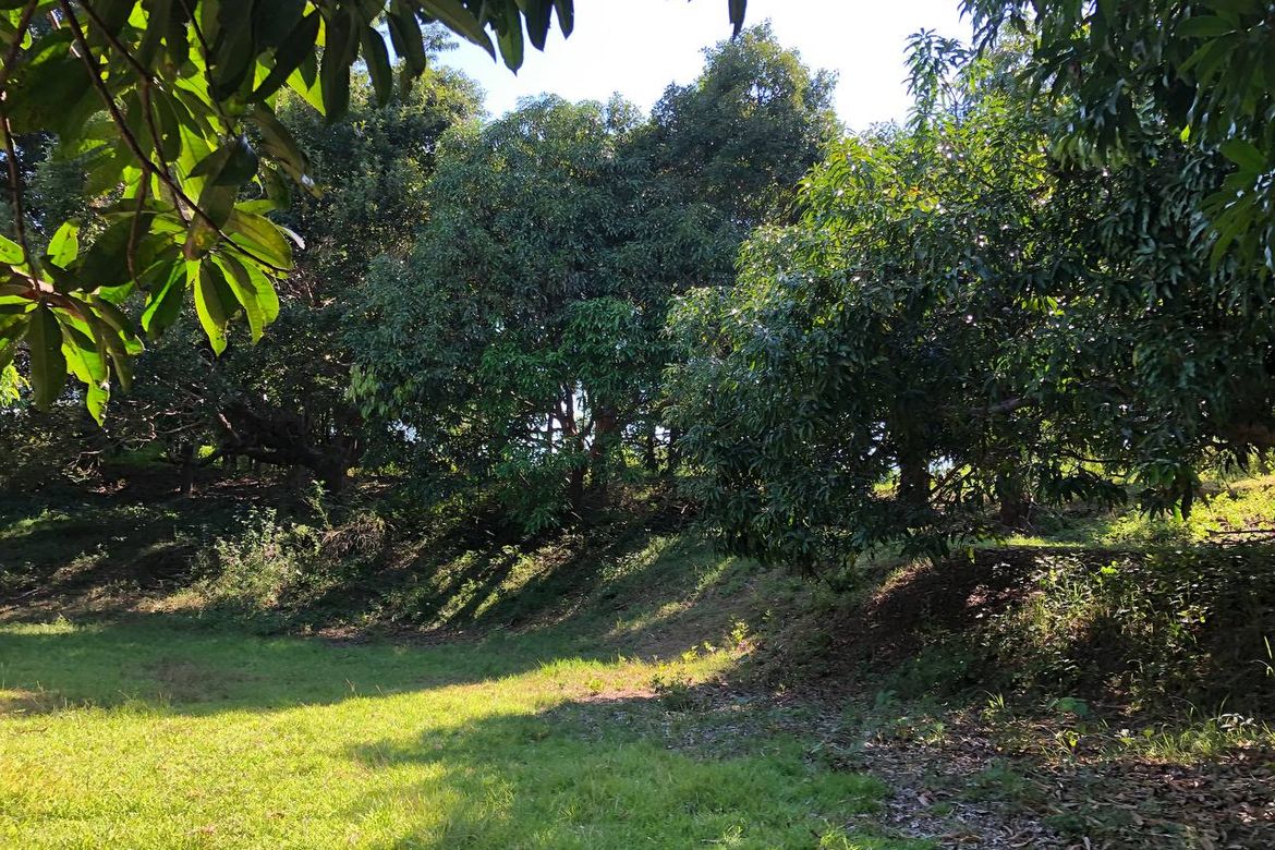 Land for Sale in Ili Norte, San Juan, La Union – photo 6