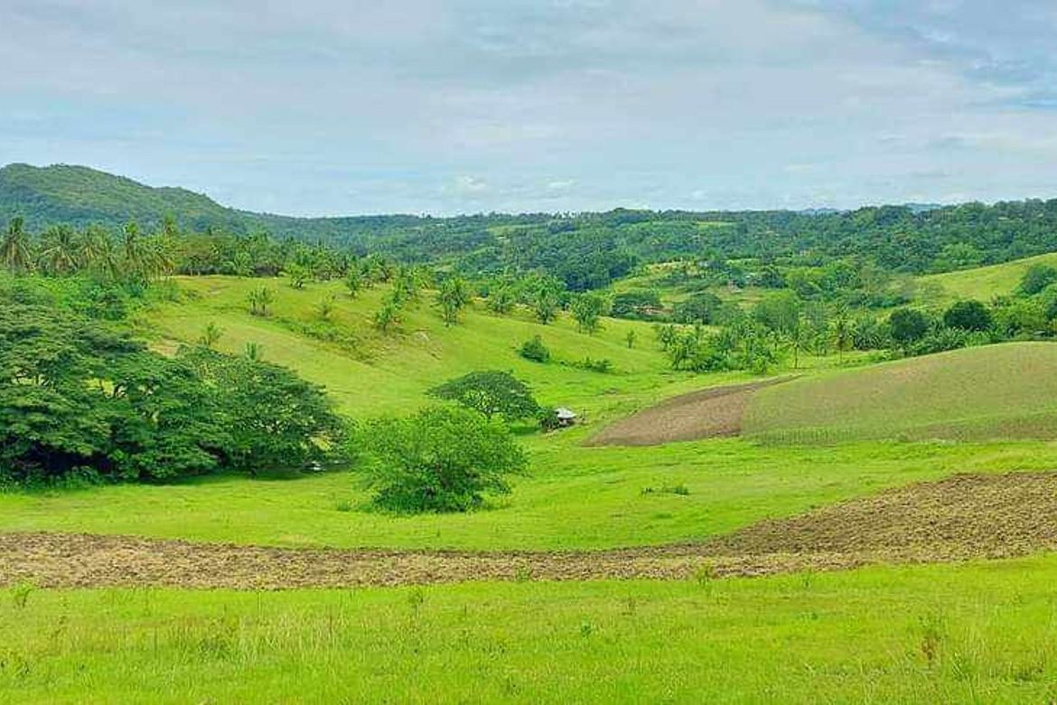 Land for Sale in Ilihan, Tabogon, Cebu – photo 2