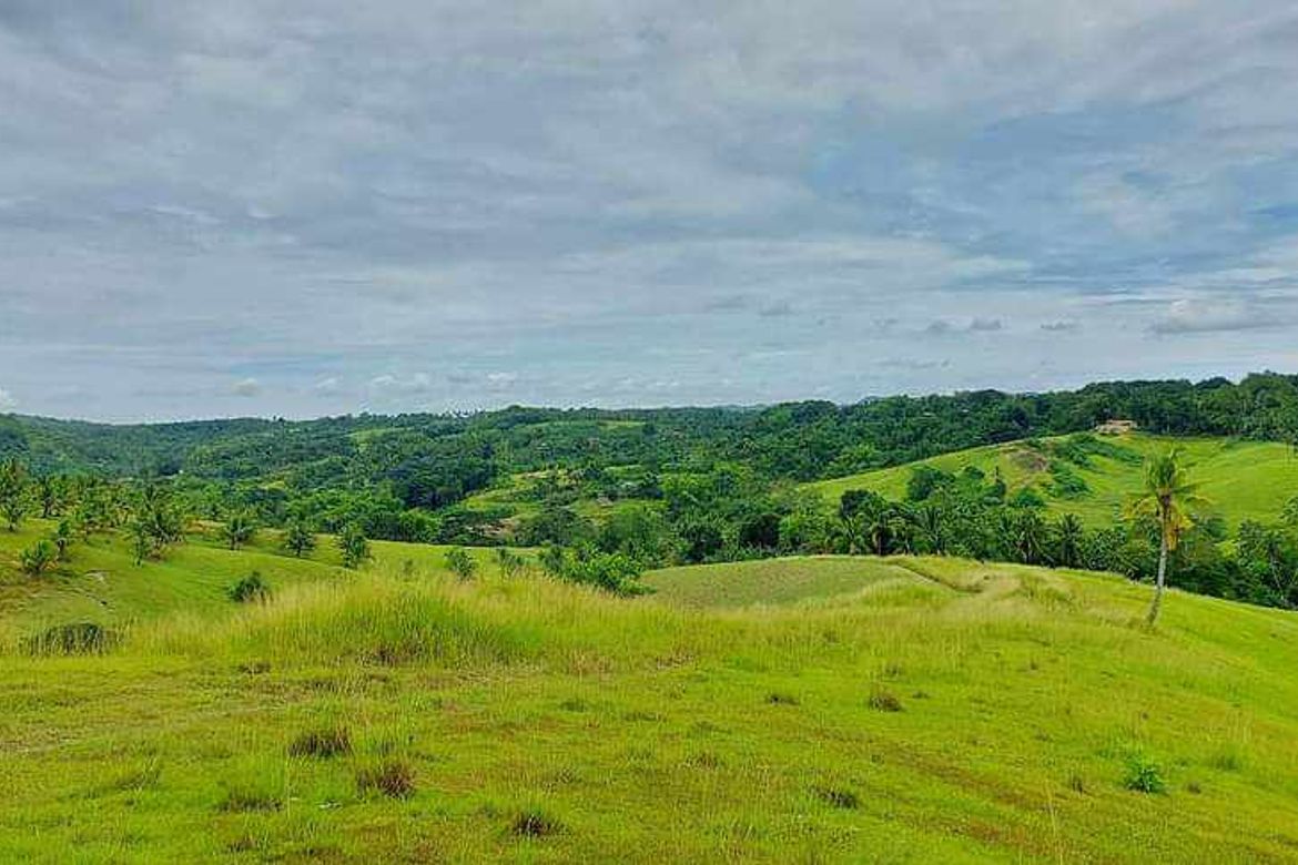 Land for Sale in Ilihan, Tabogon, Cebu – photo 2