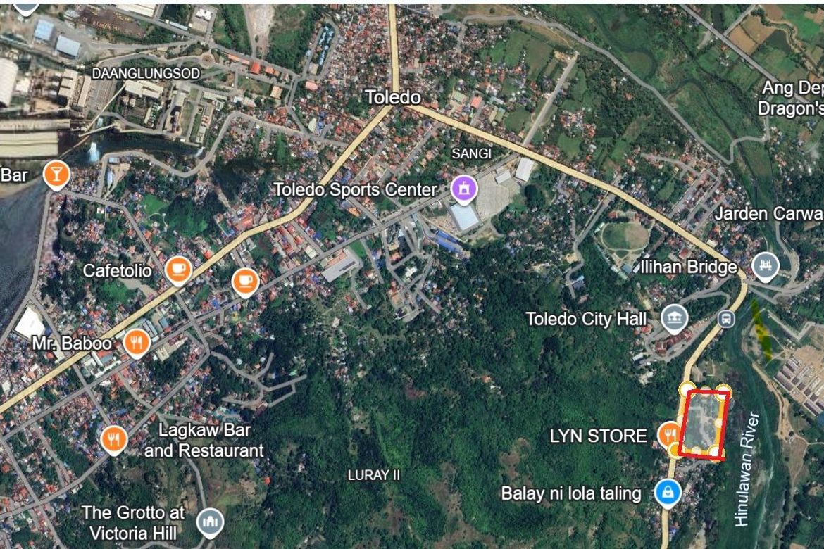 Land for Sale in Ilihan, Toledo, Cebu – photo 6