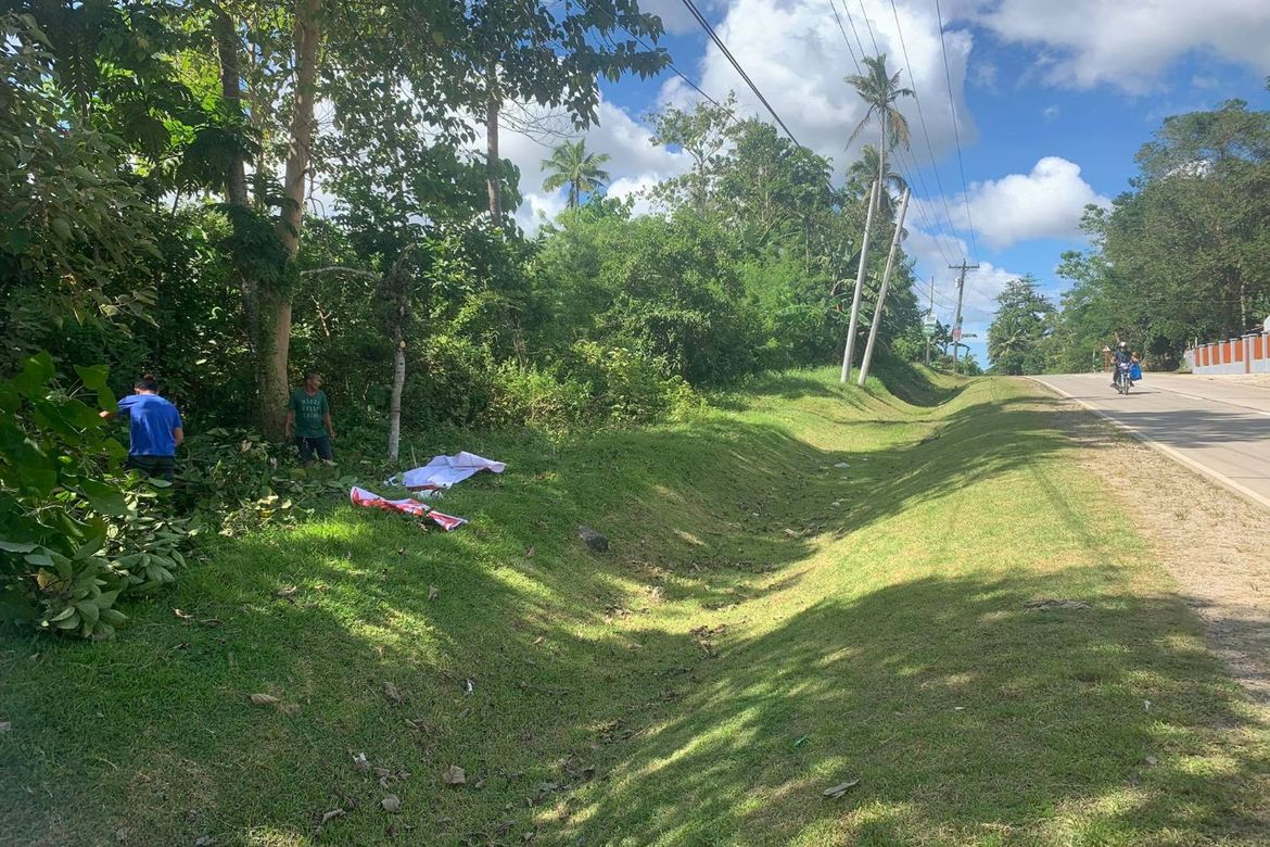 Land for Sale in Ilihan, Ubay, Bohol – photo 2