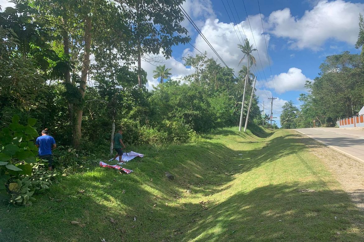 Land for Sale in Ilihan, Ubay, Bohol – photo 6