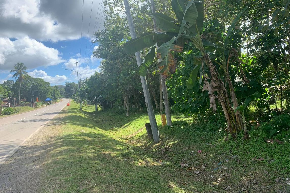 Land for Sale in Ilihan, Ubay, Bohol – photo 7