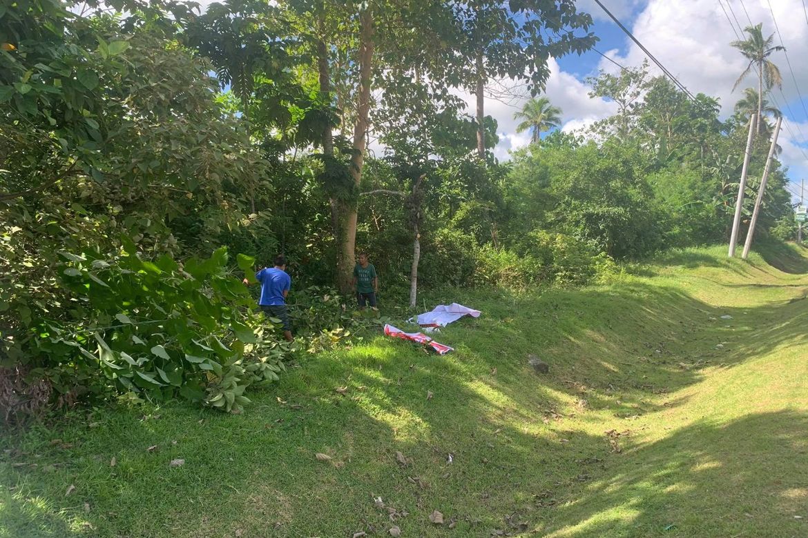 Land for Sale in Ilihan, Ubay, Bohol – photo 8