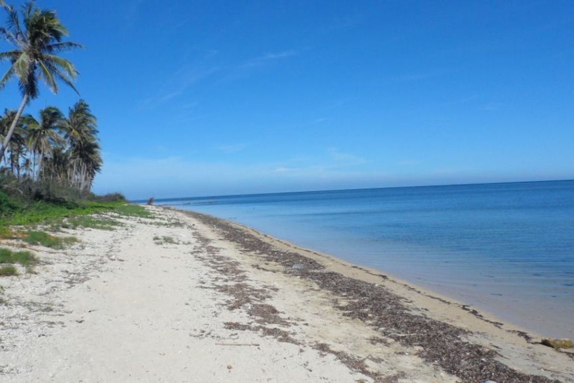 Land for Sale in Ilogmalino, Bolinao, Pangasinan