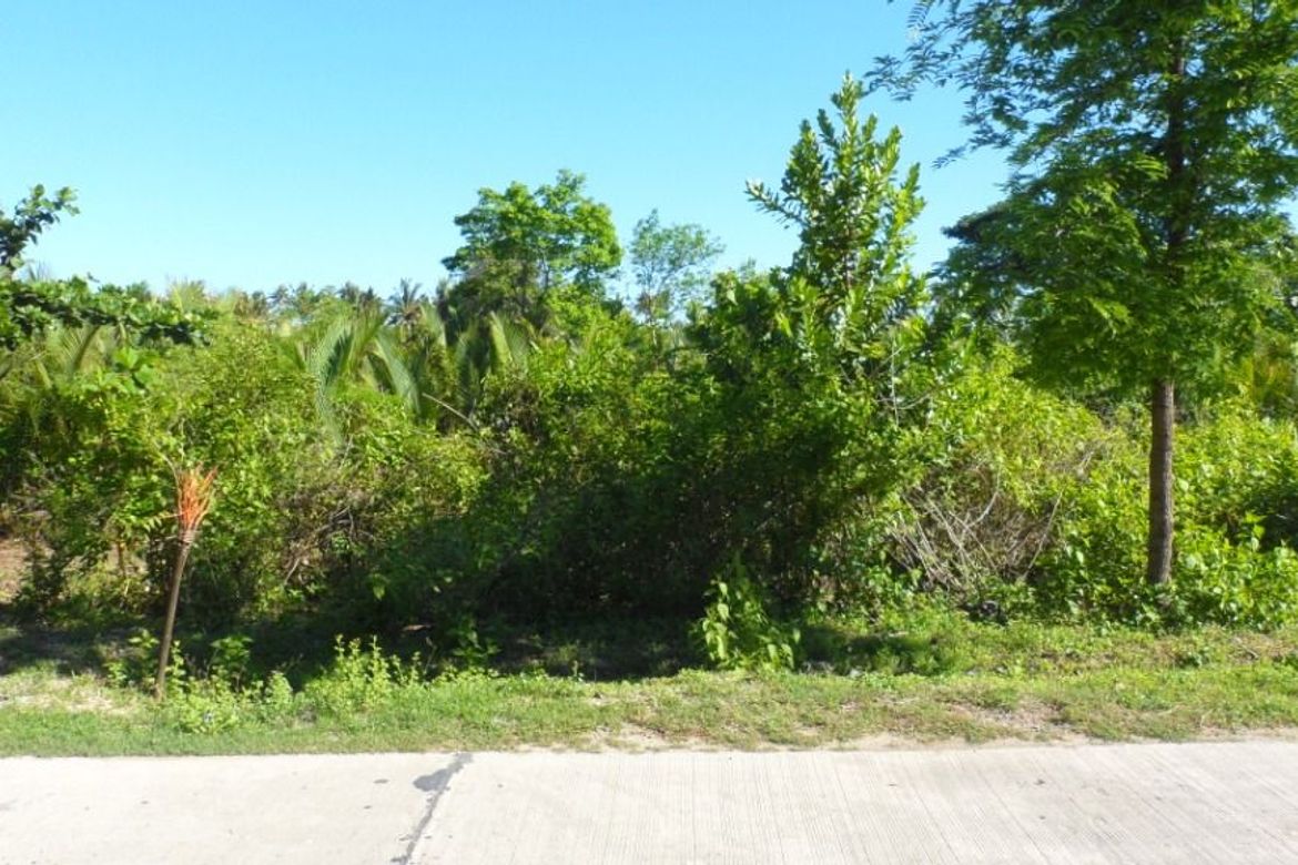 Land for Sale in Ilogmalino, Bolinao, Pangasinan – photo 4