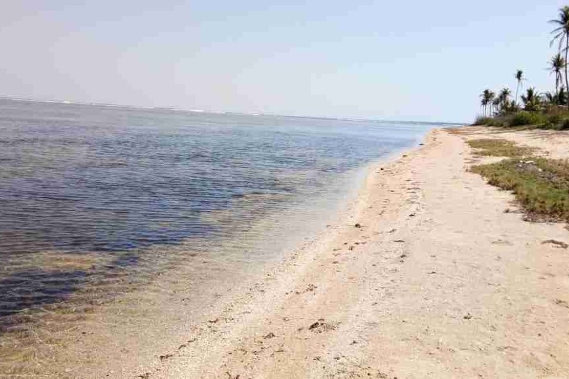 Land for Sale in Ilogmalino, Bolinao, Pangasinan – photo 2
