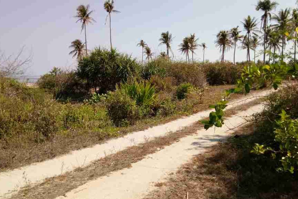 Land for Sale in Ilogmalino, Bolinao, Pangasinan – photo 3