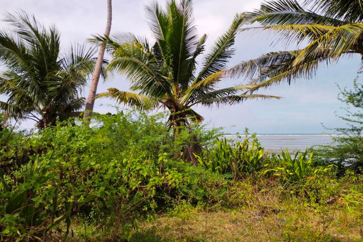 Land for Sale in Ilogmalino, Bolinao, Pangasinan – photo 4