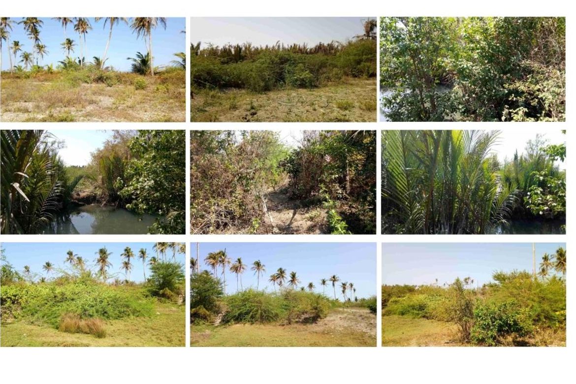 Land for Sale in Ilogmalino, Bolinao, Pangasinan – photo 7