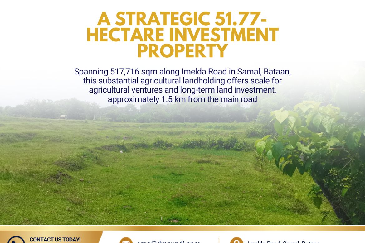 Land for Sale in Imelda, Samal, Bataan