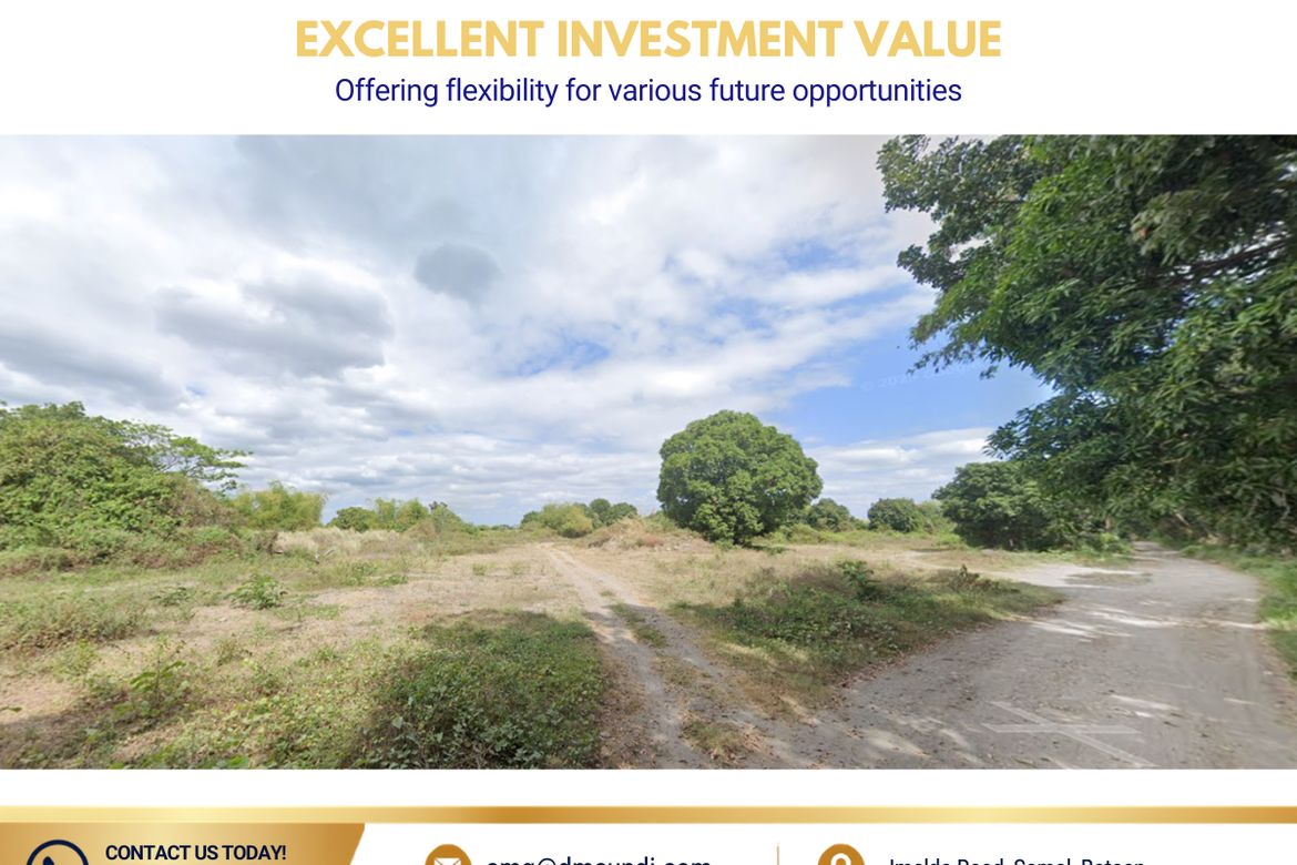 Land for Sale in Imelda, Samal, Bataan – photo 4