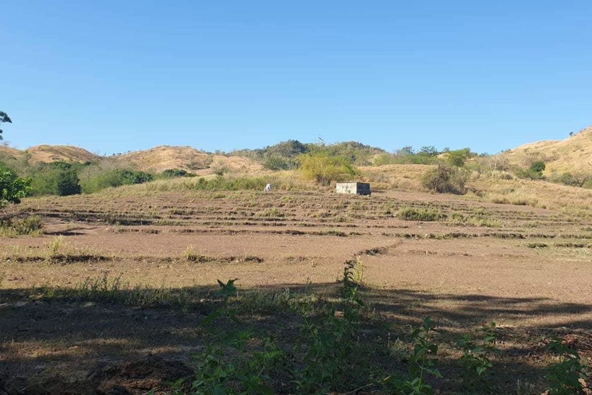 Land for Sale in Imelda Valley, Palayan, Nueva Ecija – photo 2
