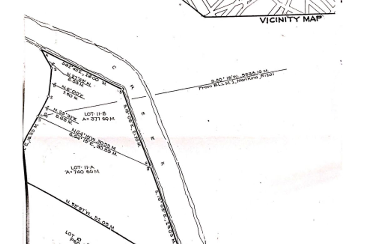 Land for Sale in Immaculate Concepcion, Quezon City, Metro Manila near LRT-2 Betty Go-Belmonte – photo 3