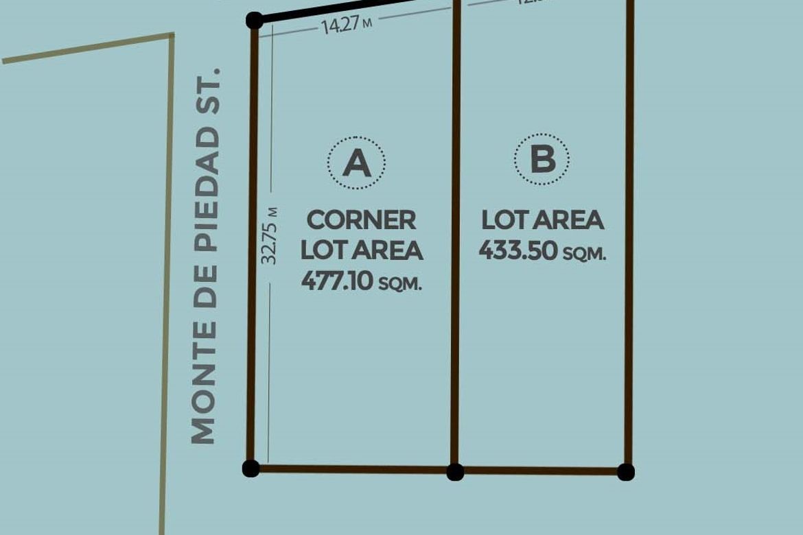 Land for Sale in Immaculate Concepcion, Quezon City, Metro Manila near MRT-3 Araneta Center-Cubao – photo 8