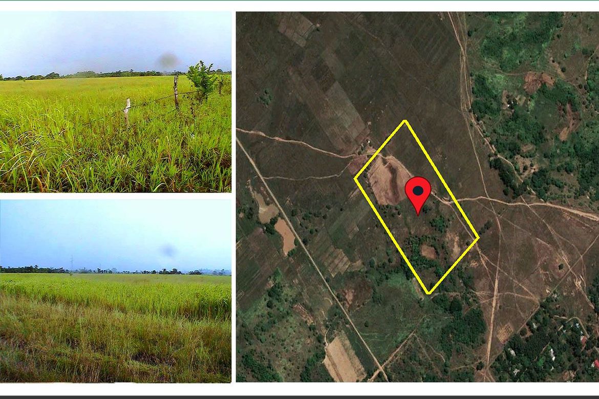 Land for Sale in Inagawan Sub-Colony, Puerto Princesa, Palawan