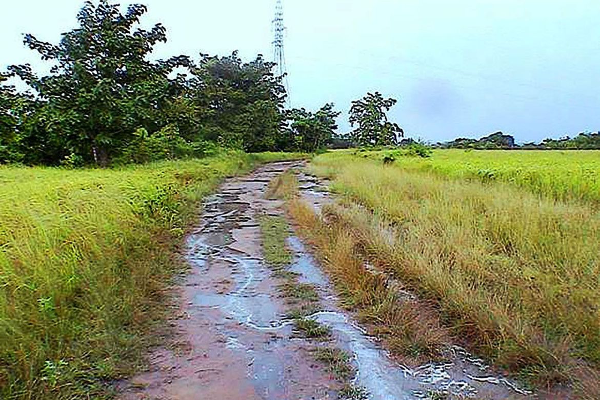 Land for Sale in Inagawan Sub-Colony, Puerto Princesa, Palawan – photo 5