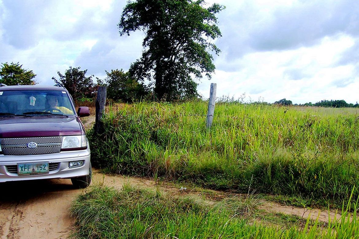 Land for Sale in Inagawan Sub-Colony, Puerto Princesa, Palawan – photo 7