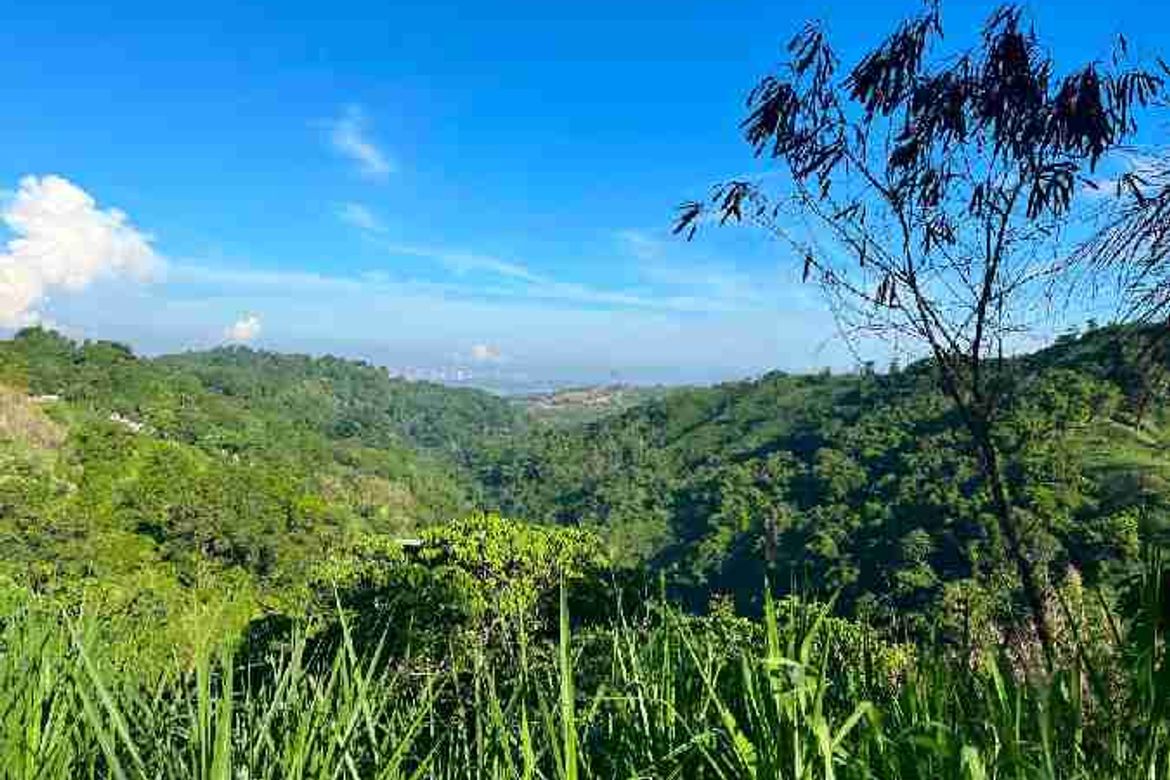 Land for Sale in Inarawan, Antipolo, Rizal – photo 7