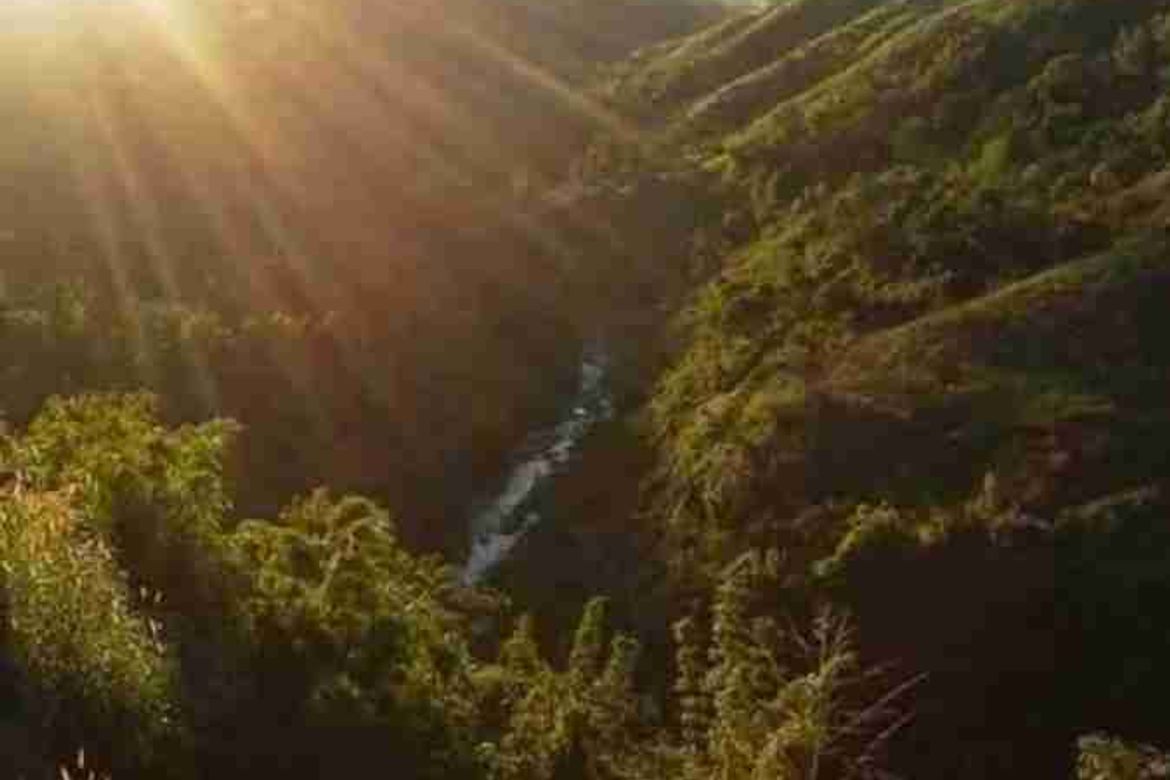 Land for Sale in Inarawan, Antipolo, Rizal – photo 8