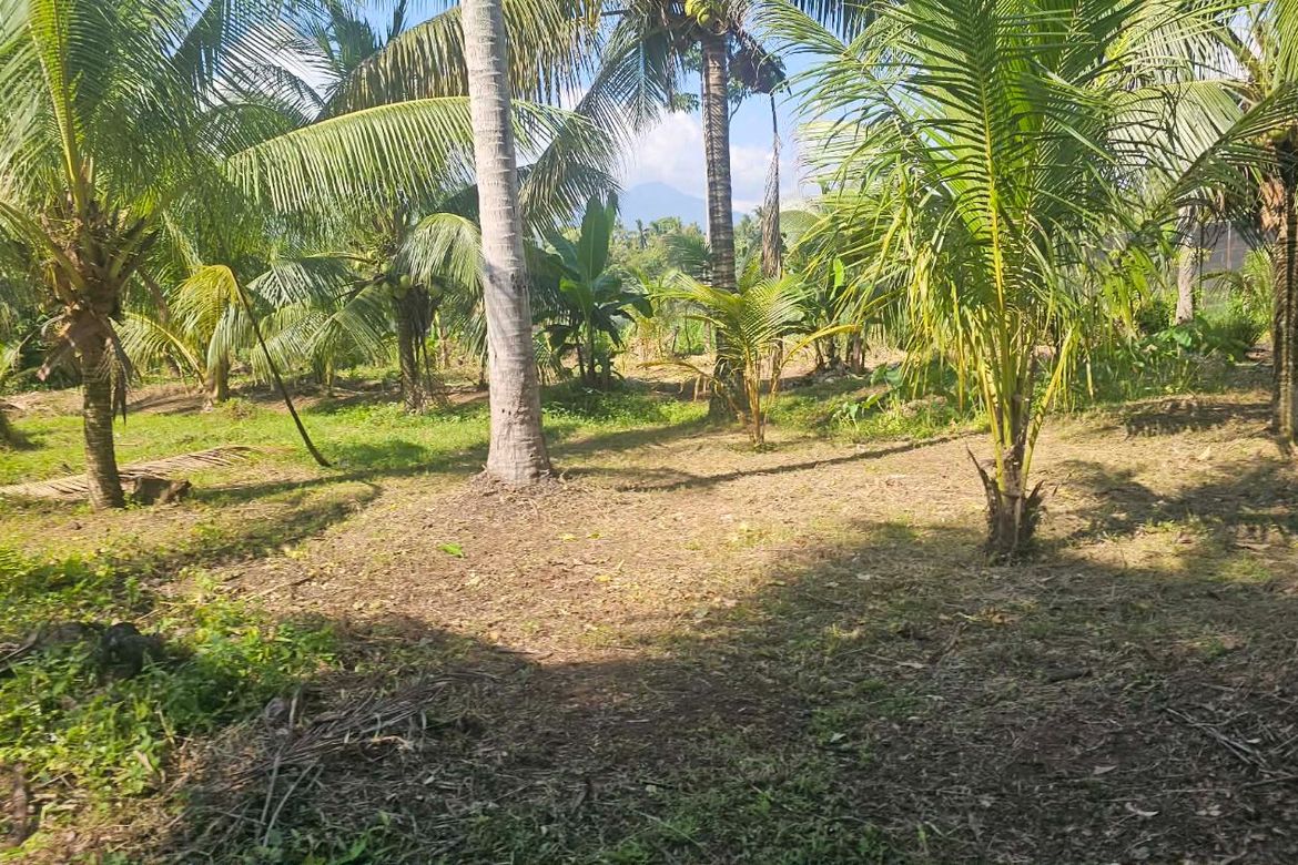 Land for Sale in Inawayan, Santa Cruz, Davao del Sur